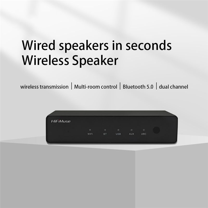 Hifimuse R20 Wireless Wifi Blu - Audio Music Spotify 评论和价格