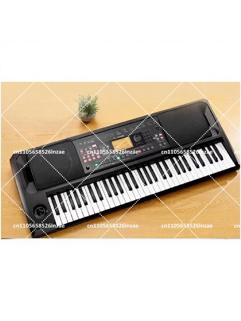 Professional Arranger Keyboard - Keyboard Piano 61 Key 评论和价格