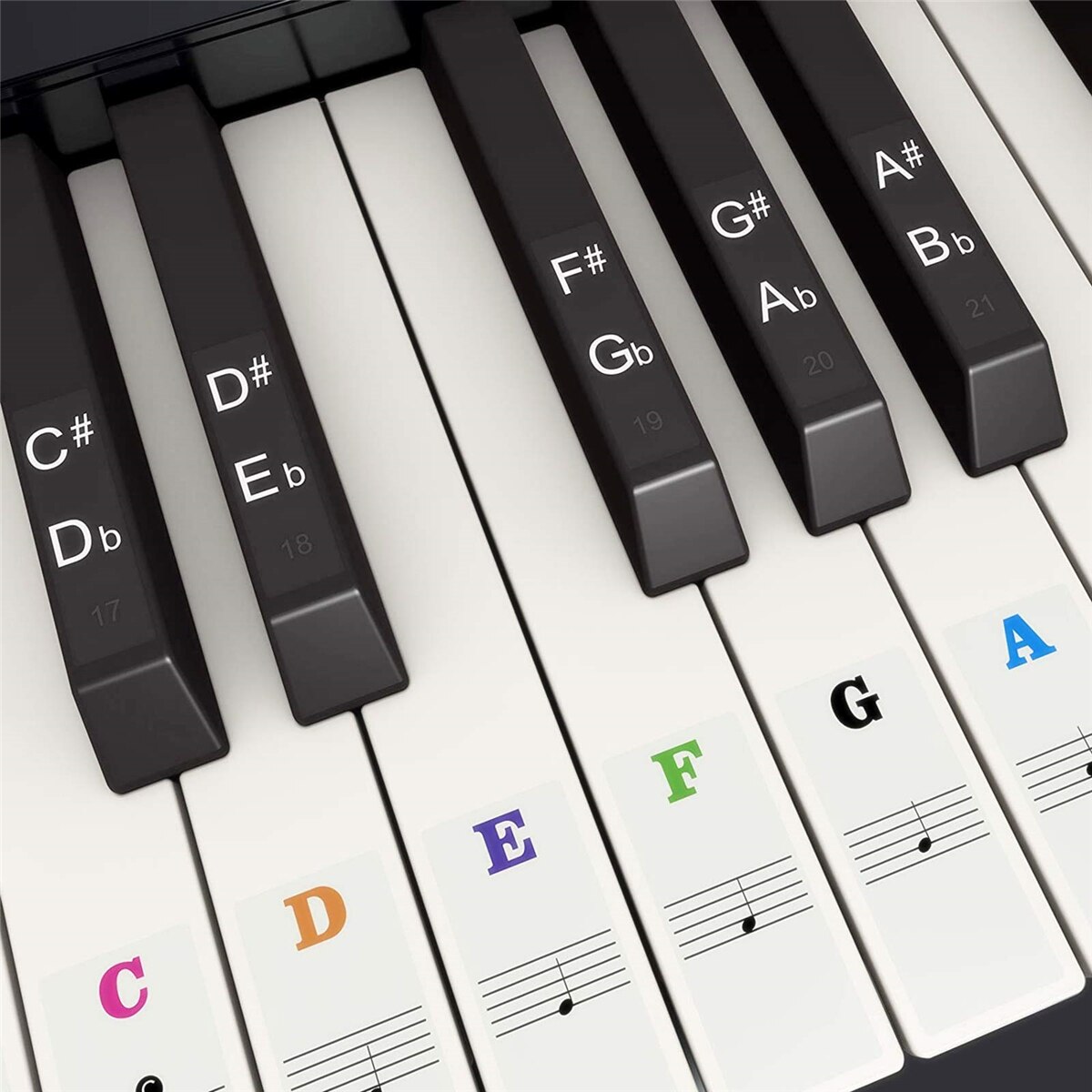 Piano Keyboard Stickers for 37 - Keyboard Piano 61 Key 评论和价格